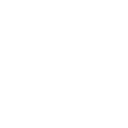 PSE Logo